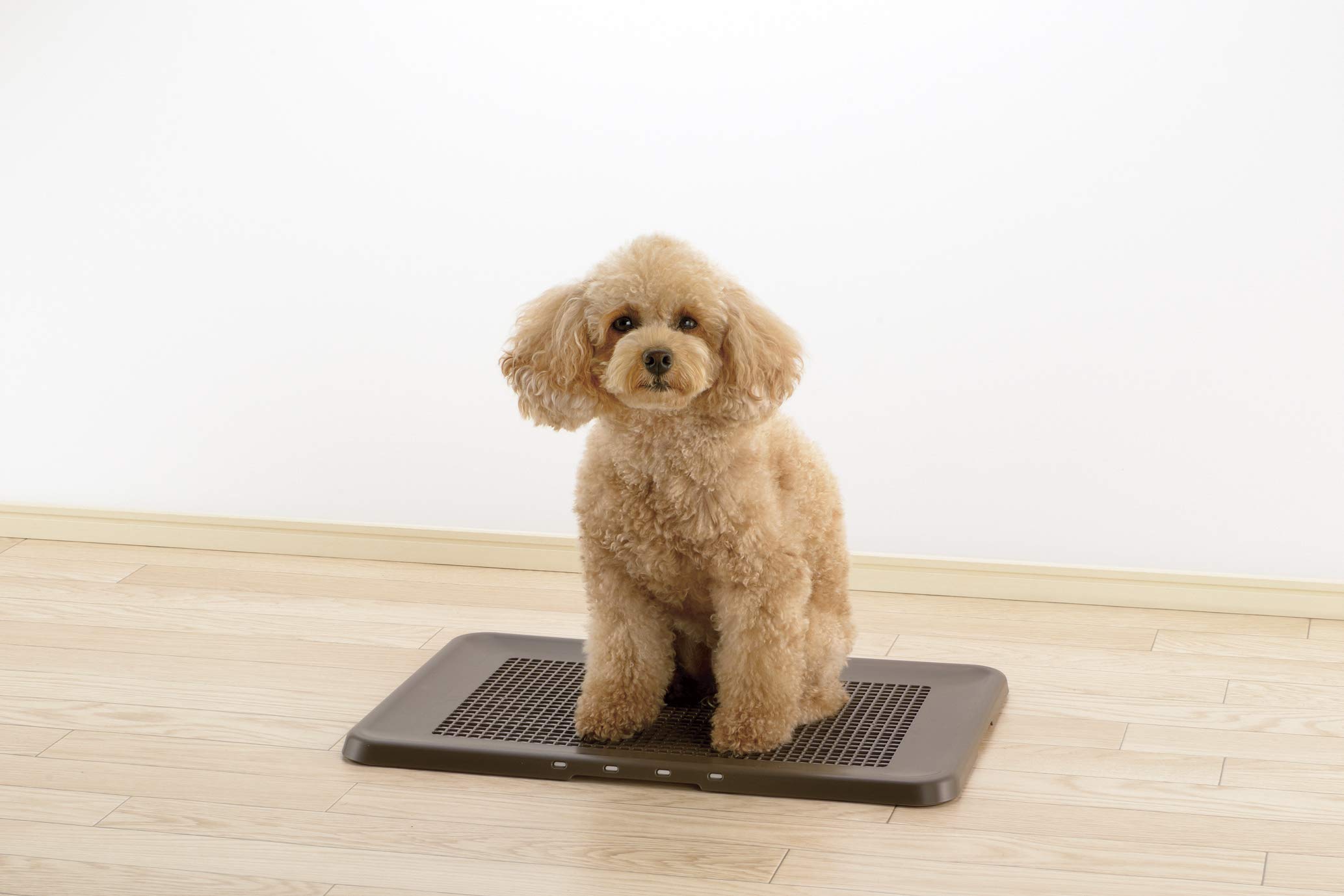 Richell 犬用ケージ ダークブラウントイレトレーセット 楽天市場】リッチェル 犬 トイレトレーニング お掃除簡単